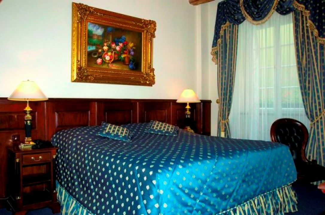 Hotel U Zlatého Stromu 4*