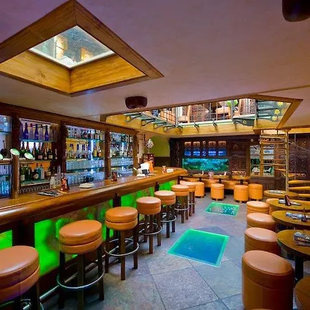 Hotel U Zlateho Stromu 